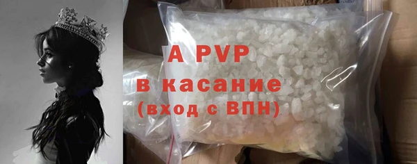 винт Абаза