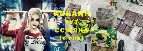 винт Абаза