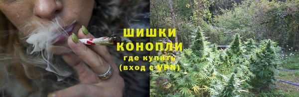 винт Абаза