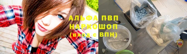 винт Абаза